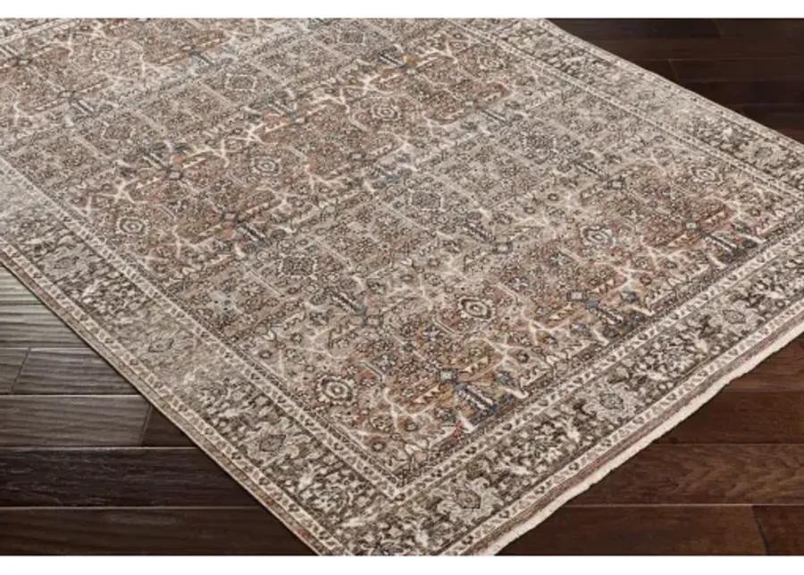 Carlisle CSI-2302 2'11" x 10' Rug