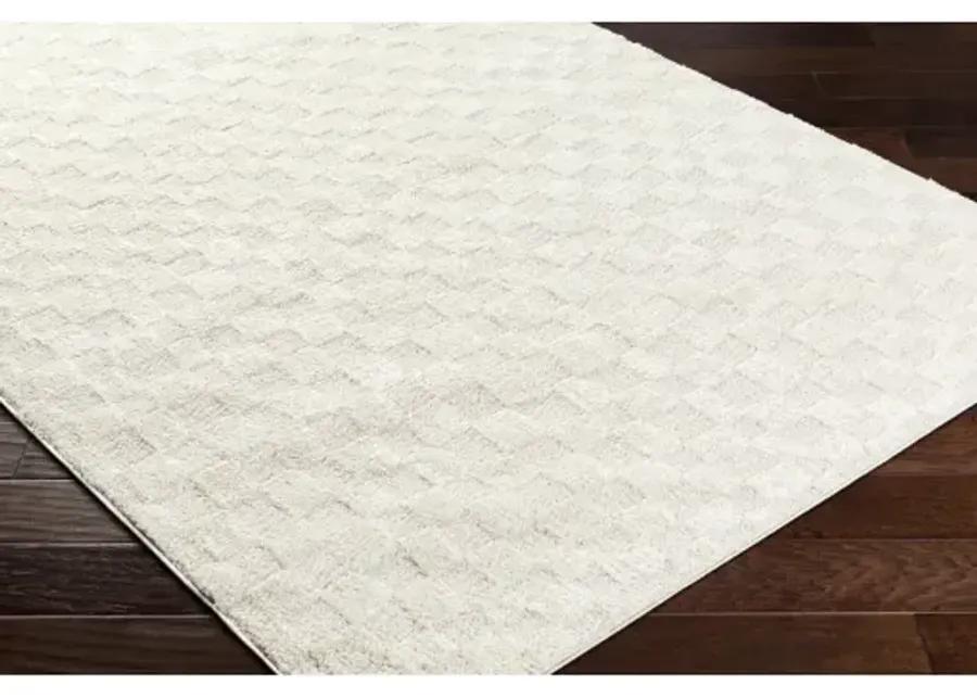 Freud FEU-2306 2'7" x 7'3" Machine Woven Rug