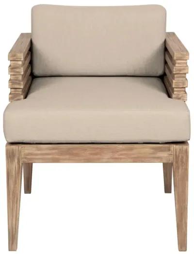 Vivid Outdoor Patio Dining Chair in Light Eucalyptus Wood with Taupe Olefin Cushions