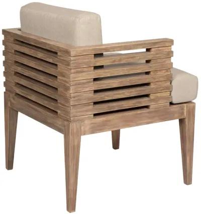 Vivid Outdoor Patio Dining Chair in Light Eucalyptus Wood with Taupe Olefin Cushions