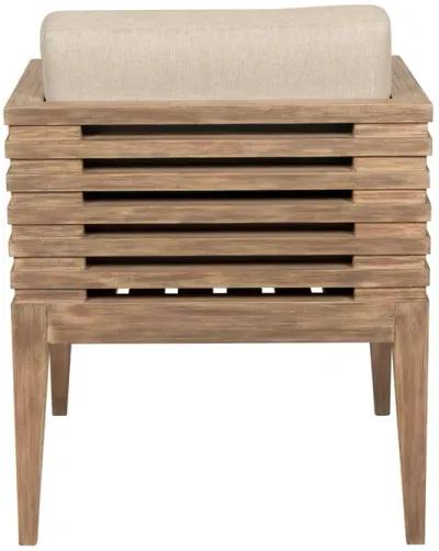 Vivid Outdoor Patio Dining Chair in Light Eucalyptus Wood with Taupe Olefin Cushions