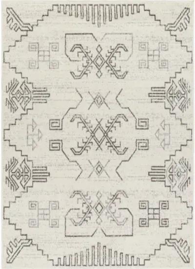 Pisa PSS-2359 6'7" x 9' Machine Woven Rug