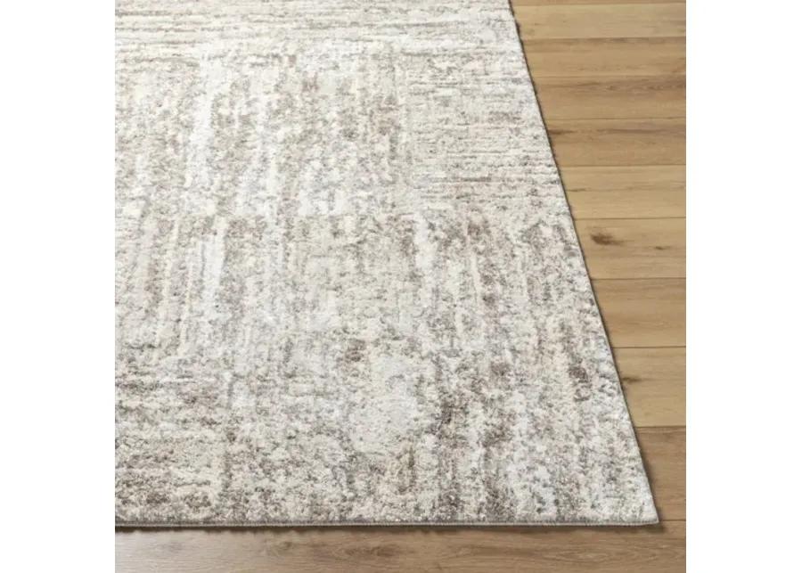 Andorra Plus ARP-2303 2' x 2'11" Machine Woven Rug