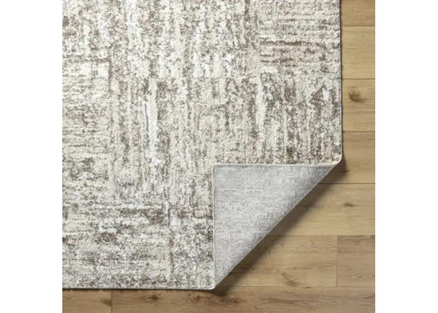 Andorra Plus ARP-2303 2' x 2'11" Machine Woven Rug