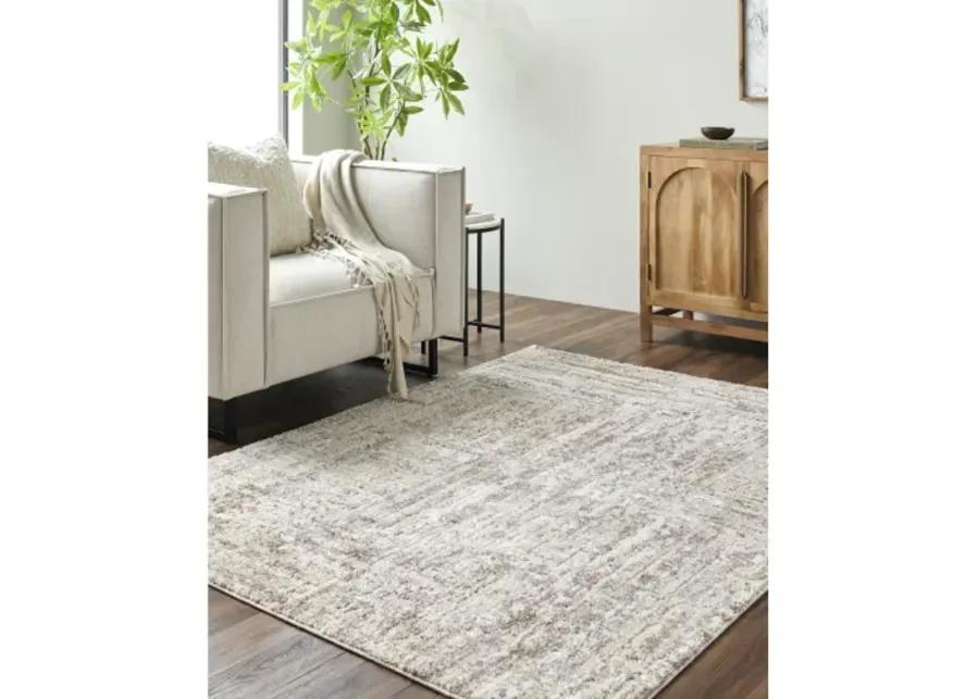 Andorra Plus ARP-2303 2' x 2'11" Machine Woven Rug