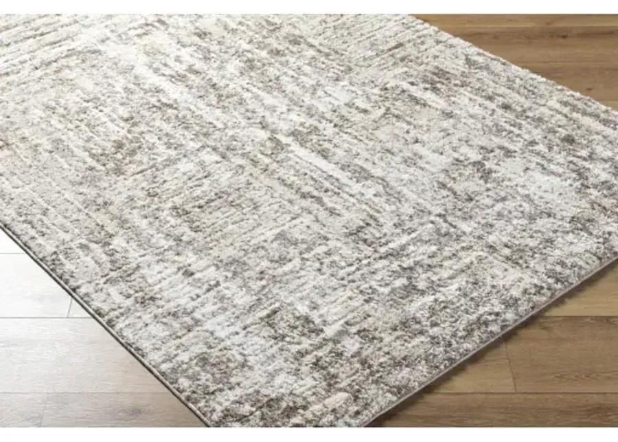 Andorra Plus ARP-2303 2' x 2'11" Machine Woven Rug