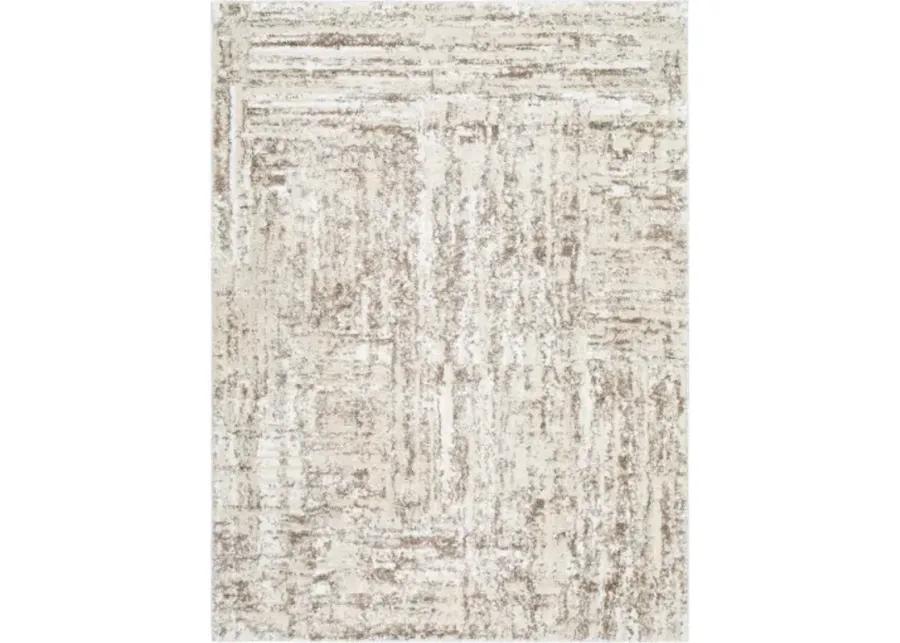 Andorra Plus ARP-2303 2' x 2'11" Machine Woven Rug