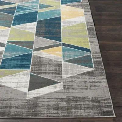 Rafetus 7'10" x 10'2" Rug