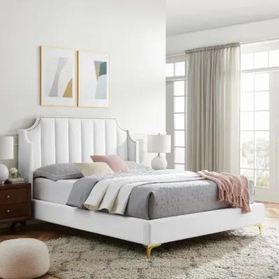 Daniella Performance Velvet Queen Platform Bed