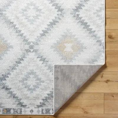 Harput HAP-1166 7'10" x 10'2" Machine Woven Rug