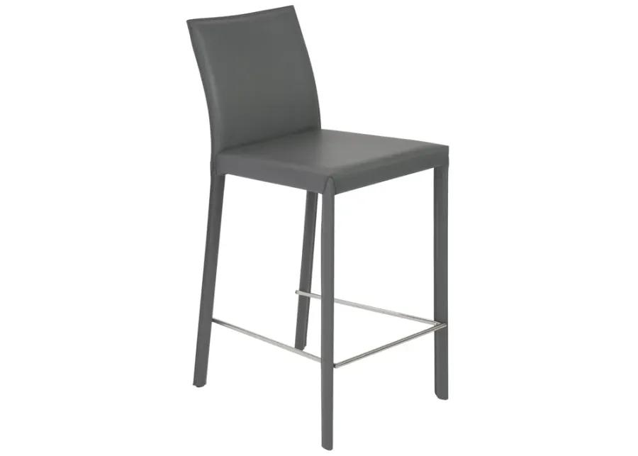 Hasina Counter Stool in Gray with Polished Stainless Steel Legs - Set of 2