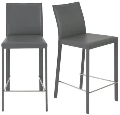 Hasina Counter Stool in Gray with Polished Stainless Steel Legs - Set of 2