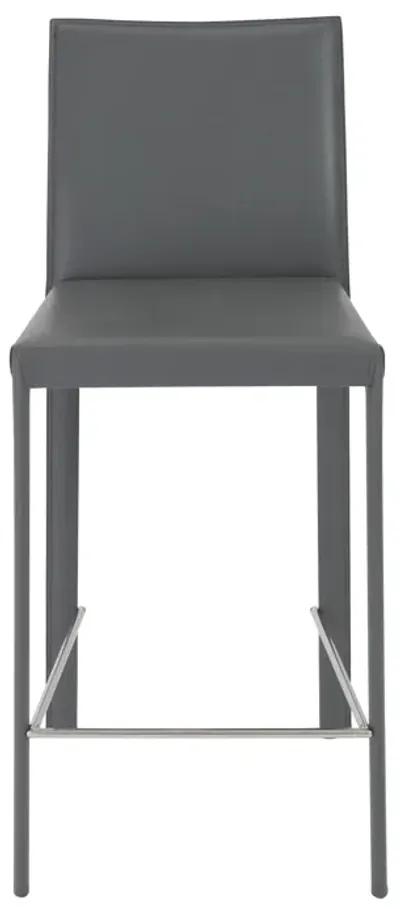 Hasina Counter Stool in Gray with Polished Stainless Steel Legs - Set of 2