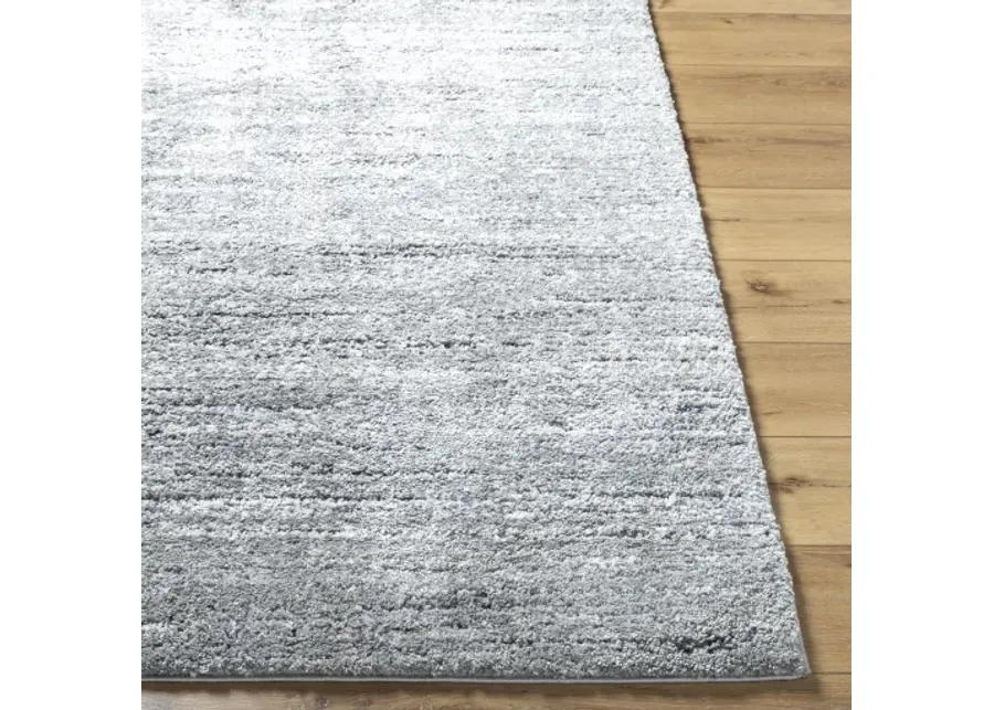 Portofino PTF-2323 8'10" x 12' Machine Woven Rug