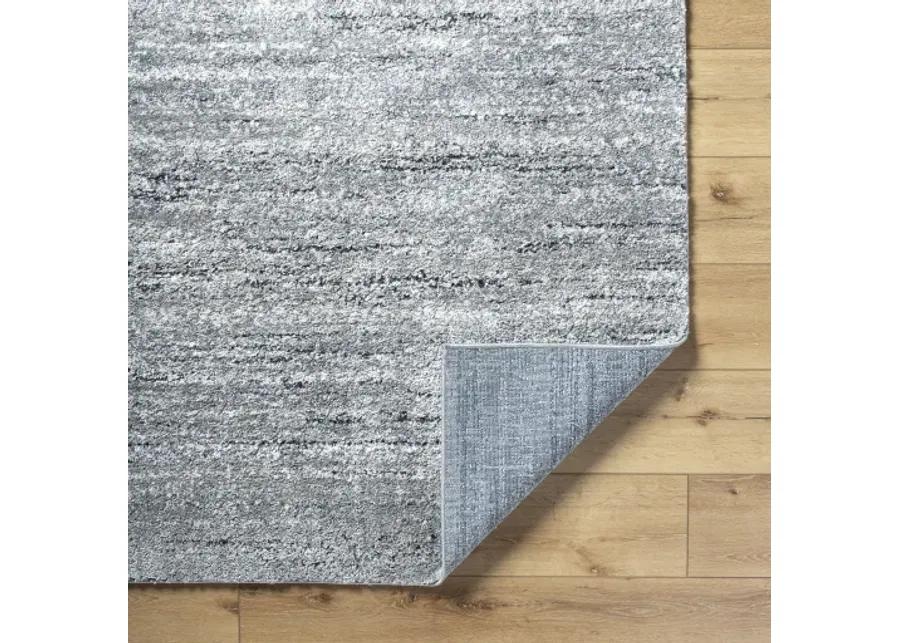 Portofino PTF-2323 8'10" x 12' Machine Woven Rug