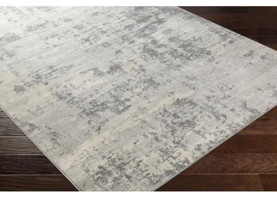 Monaco 4'3" x 5'11" Rug