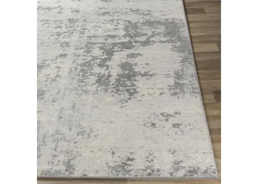 Monaco 4'3" x 5'11" Rug