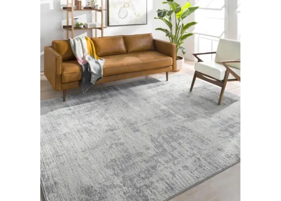 Monaco 4'3" x 5'11" Rug