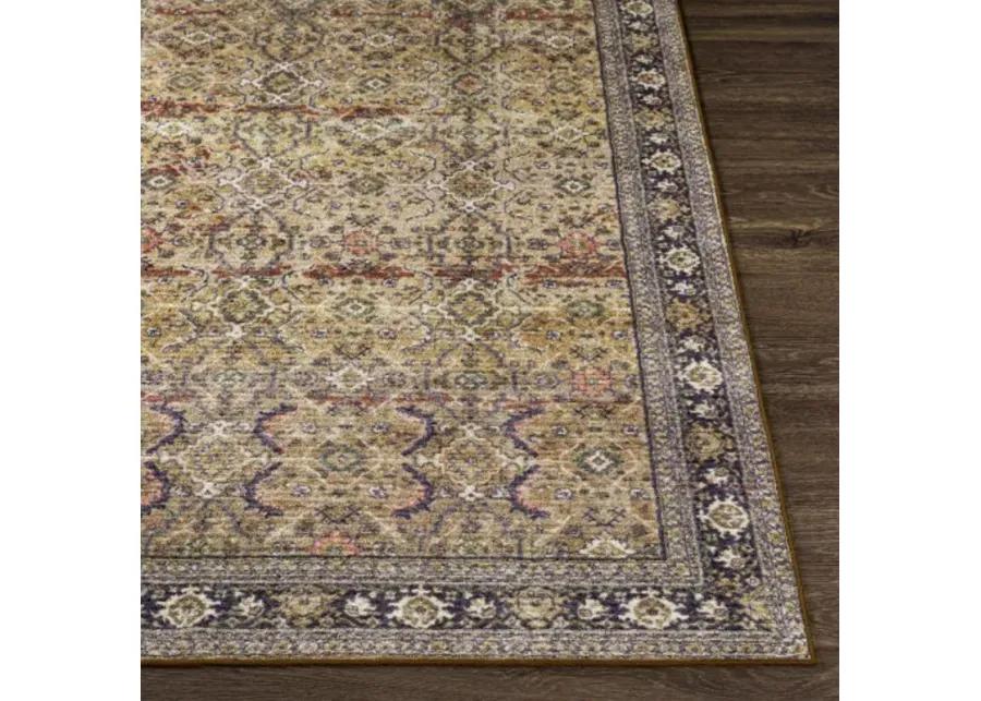 Leicester LEC-2305 2'7" x 7'3" Rug