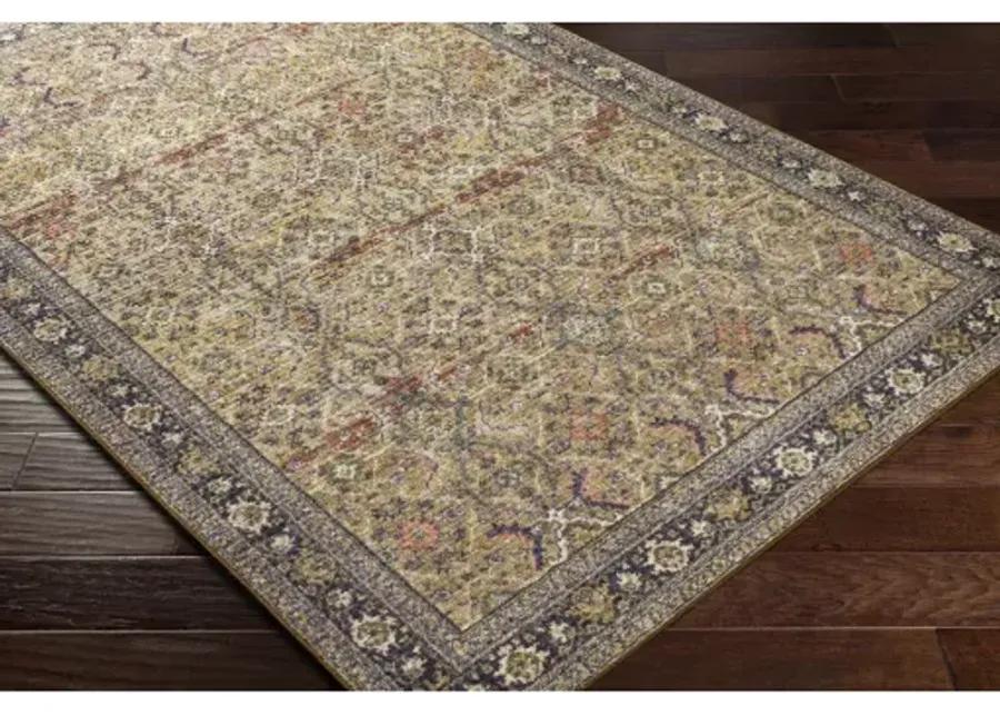 Leicester LEC-2305 2'7" x 7'3" Rug