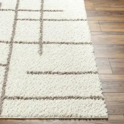 Maryland Shag MSG-2304 7'10" x 10' Machine Woven Rug