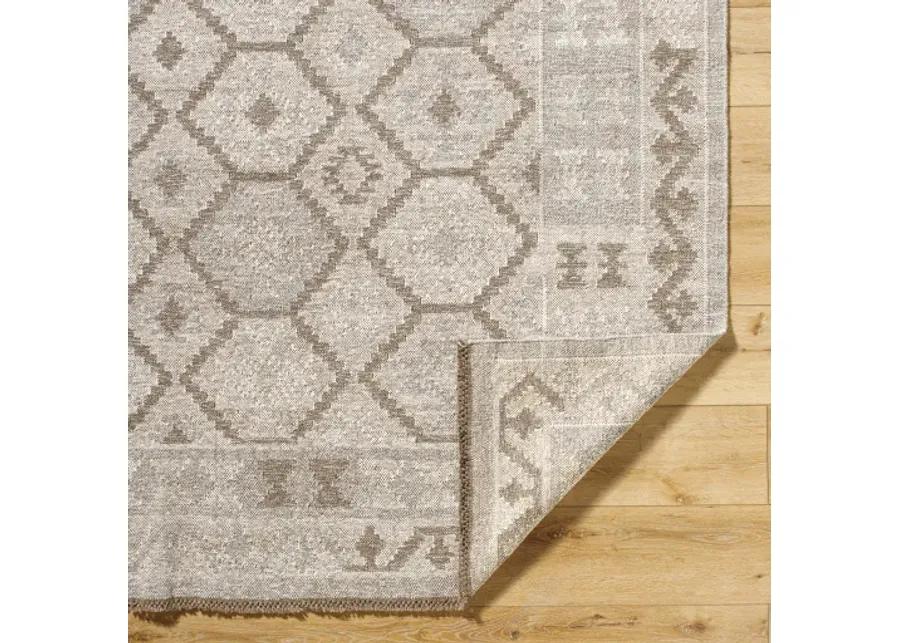 Tempe TPE-2302 5' x 7'6" Handmade Rug