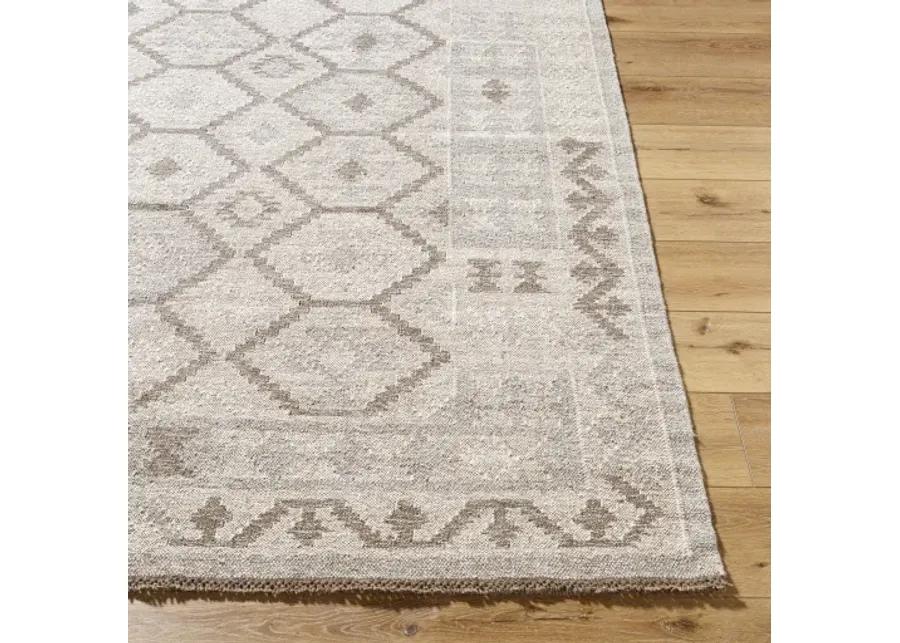 Tempe TPE-2302 5' x 7'6" Handmade Rug