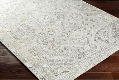 Amelie AML-2379 5'3" x 7'3" Machine Woven Rug