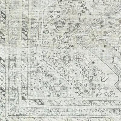 Amelie AML-2379 5'3" x 7'3" Machine Woven Rug