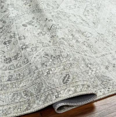 Amelie AML-2379 5'3" x 7'3" Machine Woven Rug