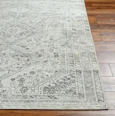 Amelie AML-2379 5'3" x 7'3" Machine Woven Rug