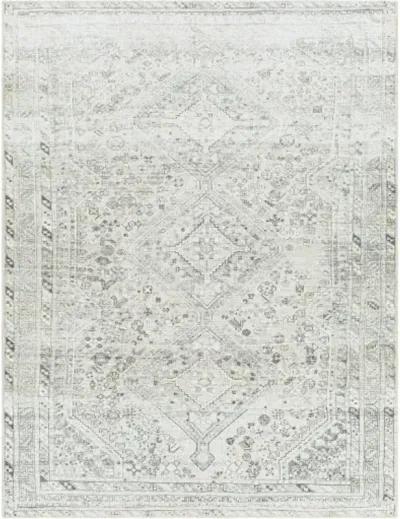 Amelie AML-2379 5'3" x 7'3" Machine Woven Rug