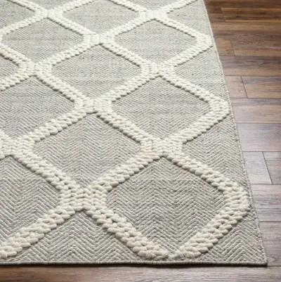 Nina NNA-2300 27" x 45" Hand Made Rug