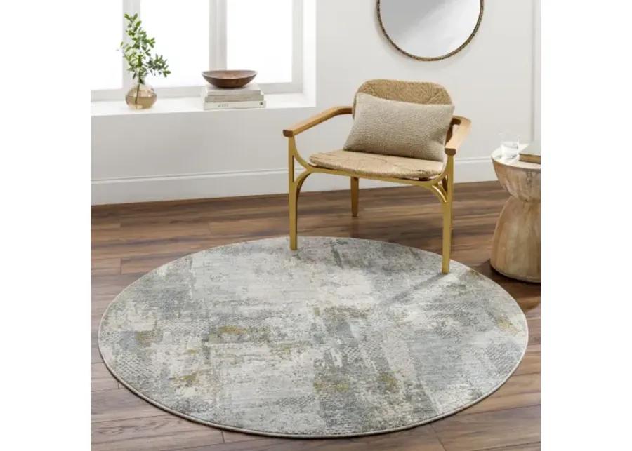 Dresden DRE-2305 5'3" x 5'3" Machine Woven Rug