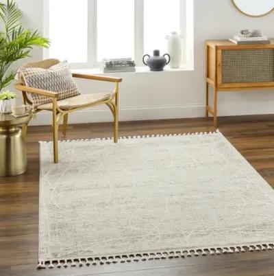 Rudy RDY-2303 5'3" x 7' Machine Woven Rug