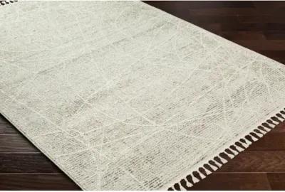 Rudy RDY-2303 5'3" x 7' Machine Woven Rug