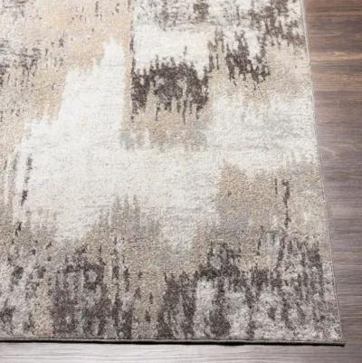 Lavadora 7'10" x 10' Rug