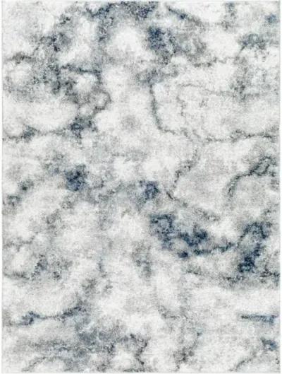 Portofino PTF-2317 5'3" x 7' Machine Woven Rug