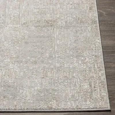 Carmel 2' x 3' Rug