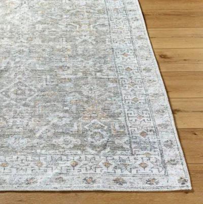 Darling BODA-2301 2'7" x 10' Machine Woven Rug