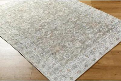 Darling BODA-2301 2'7" x 10' Machine Woven Rug