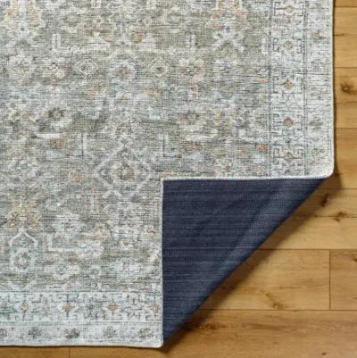 Darling BODA-2301 2'7" x 10' Machine Woven Rug