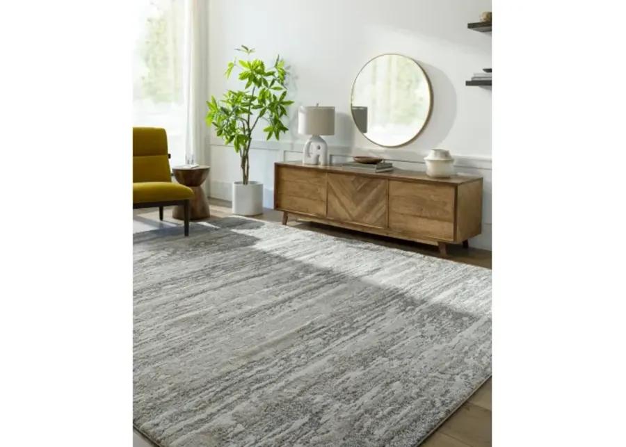 Venice 2'7" x 7'3" Rug