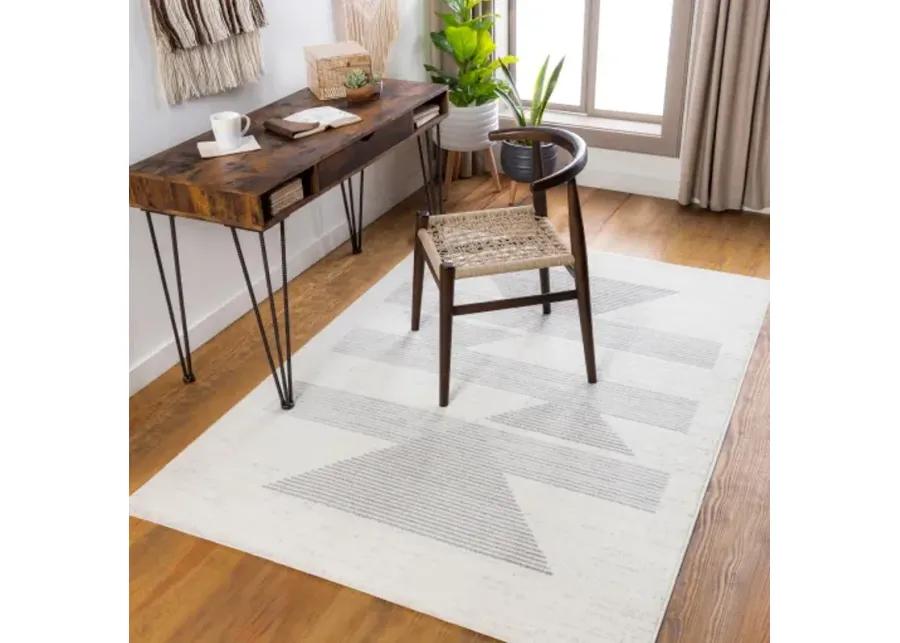 Pisa 6'7" x 9' Rug