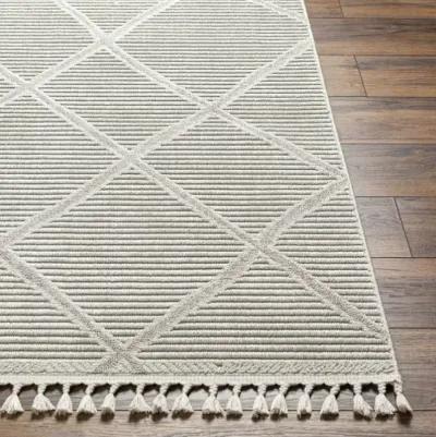 Finland FND-2309 2'2" x 3'9" Machine Woven Rug