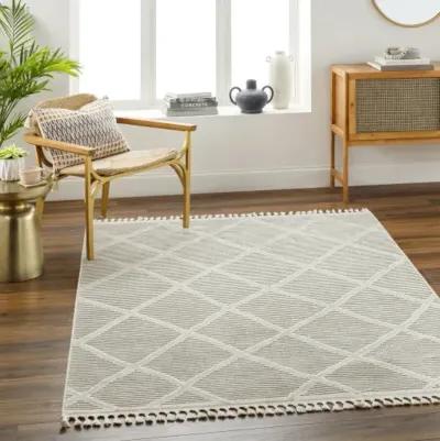 Finland FND-2309 2'2" x 3'9" Machine Woven Rug