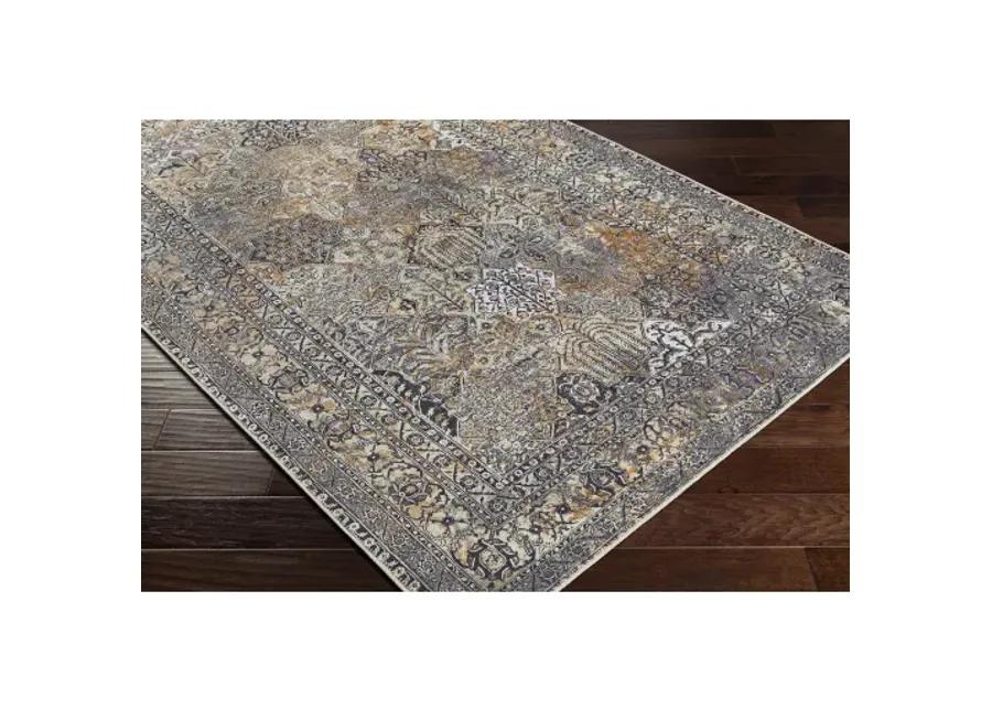 Tahmis 6'7" x 9' Rug