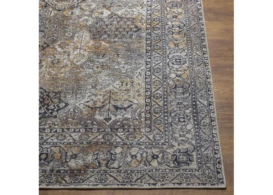 Tahmis 6'7" x 9' Rug