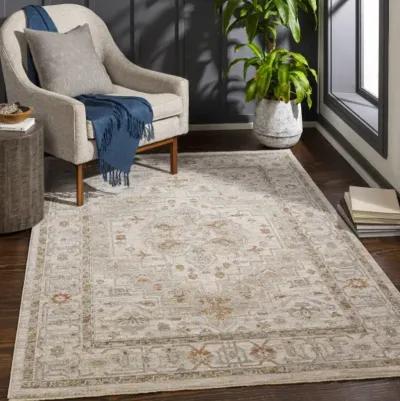 Avant Garde AVT-2313 2'7" x 10' Rug