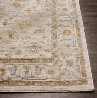 Avant Garde AVT-2313 2'7" x 10' Rug